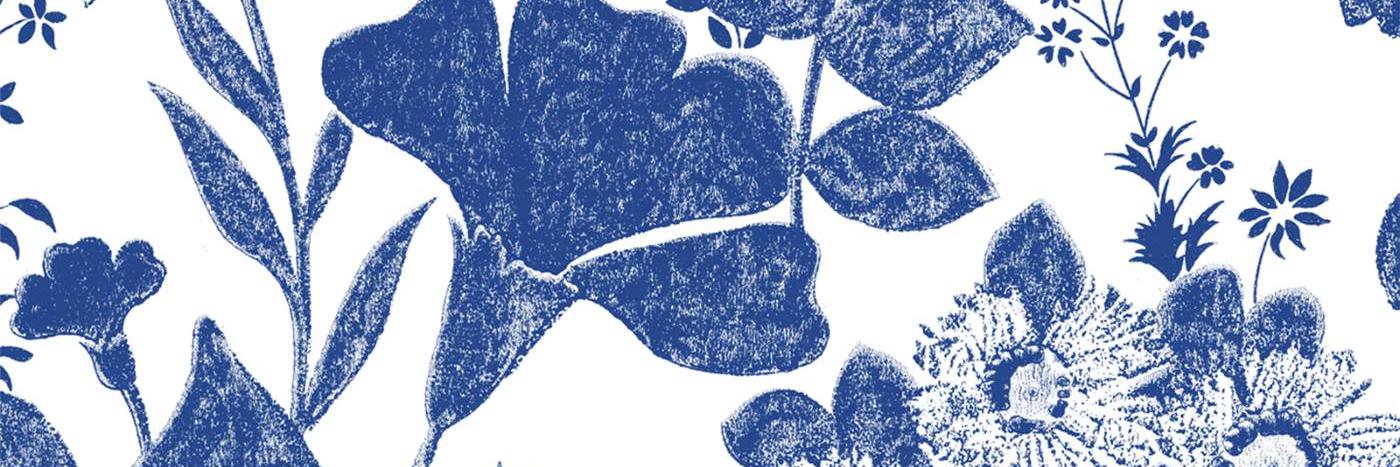 Miriam_ozb's profile banner image