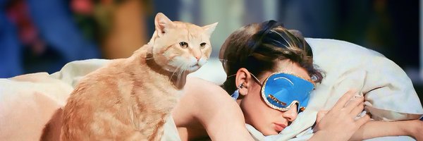 CatDoctor_ Profile Banner