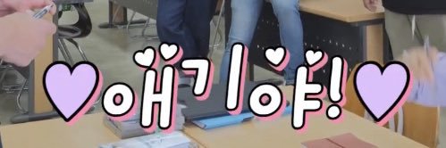 로냐 banner