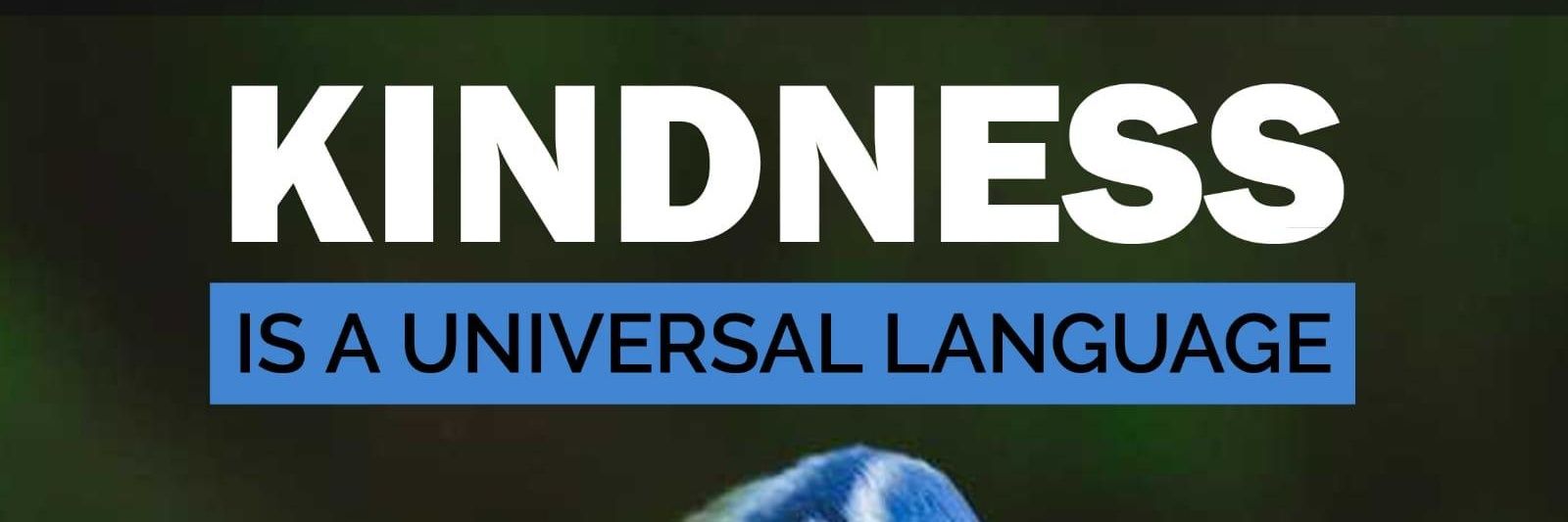 sikander asif banner