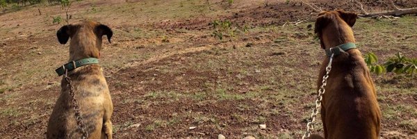 marianadase Profile Banner