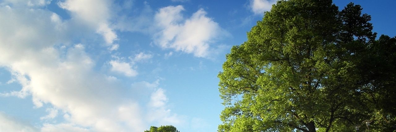 jujust31's profile banner image