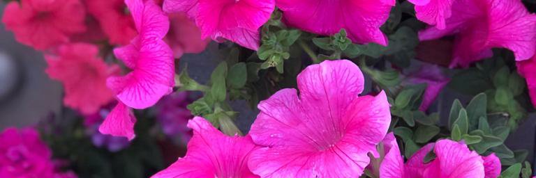 ashokgupta06's profile banner image