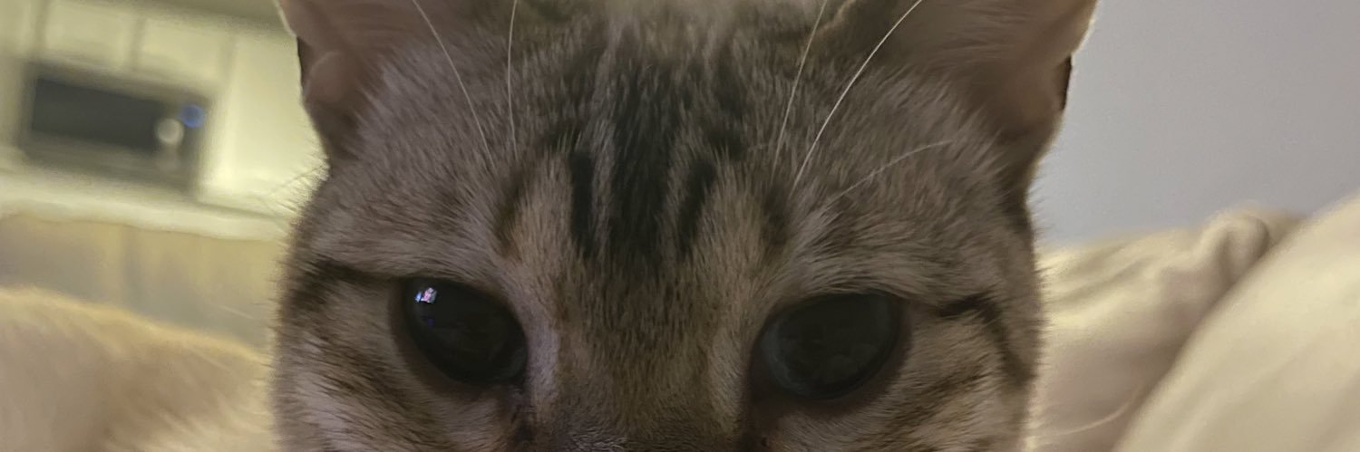 Ben W banner