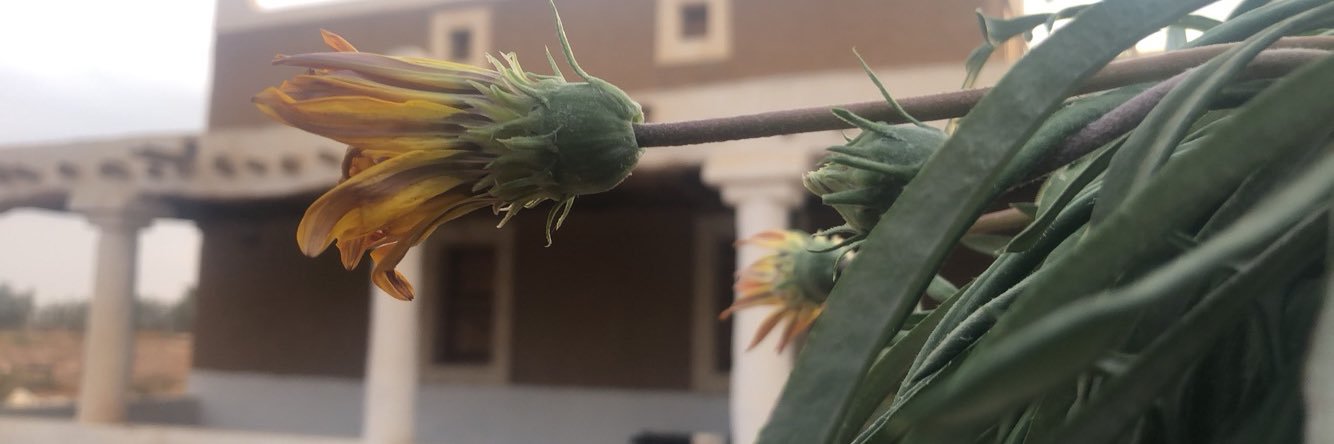 ناصر الوهيبي banner