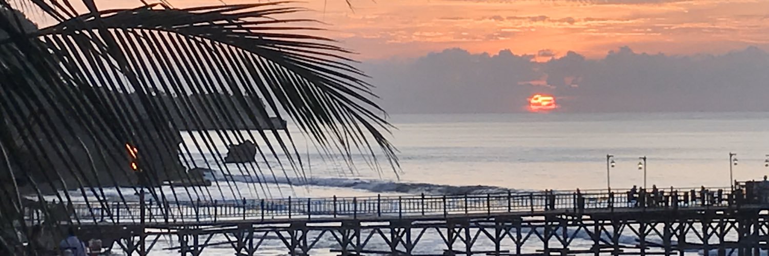 Adelaide Withers banner