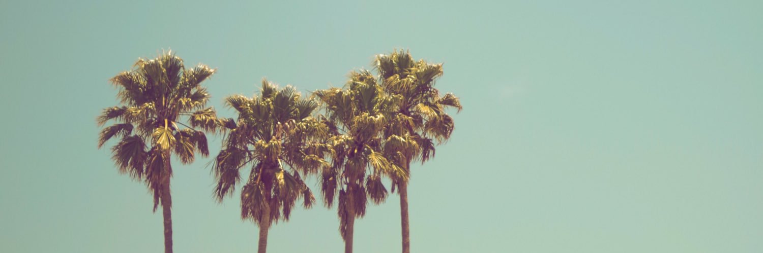 182_ffunsg's profile banner image