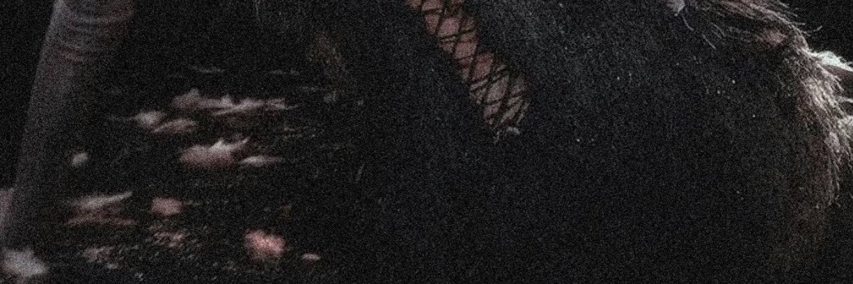 tomoko71k's profile banner image