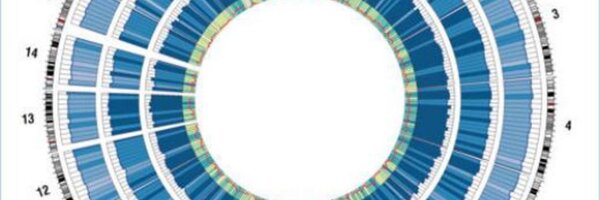 ManelEsteller Profile Banner