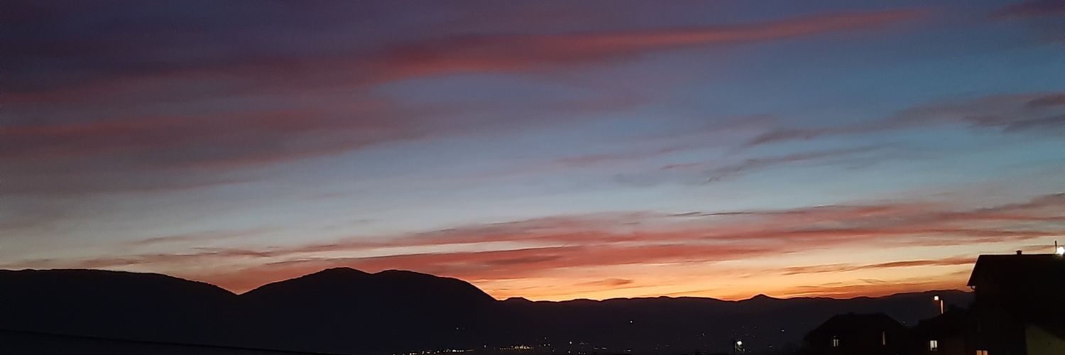 NinalePew's profile banner image