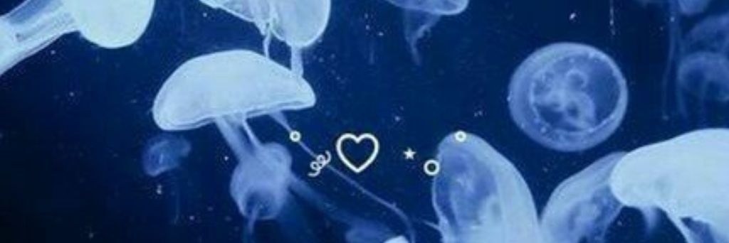 Dzhu_r (OPEN COMMISSION ) banner