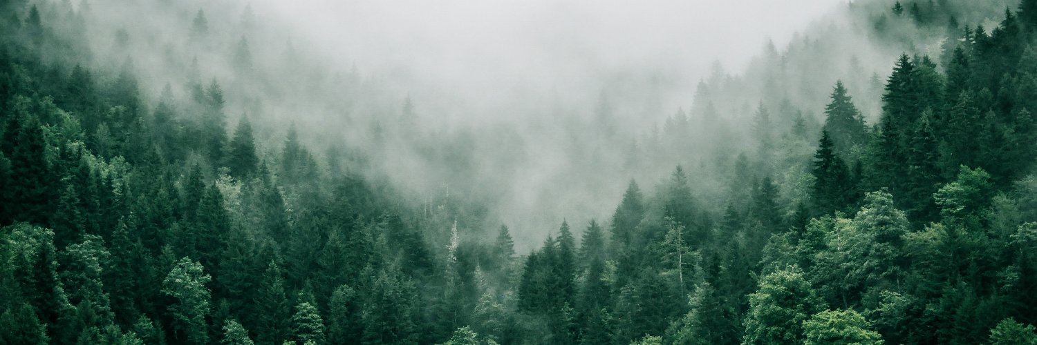 brotographer_'s profile banner image