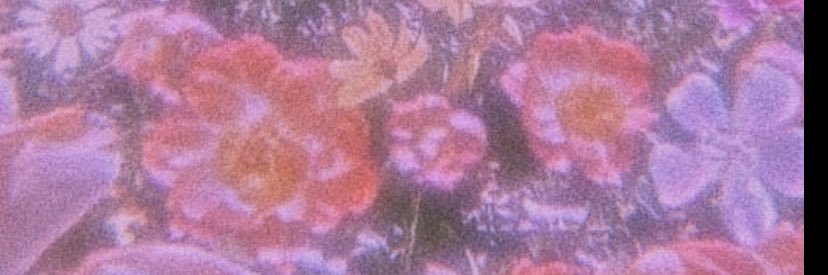 catmamiii's profile banner image