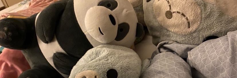 หมีเต้น 🕺 ˚ ༘ banner