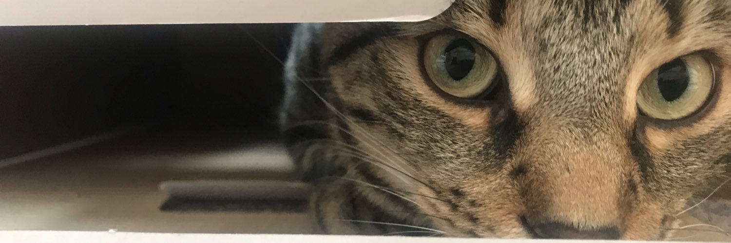 just_dixie's profile banner image