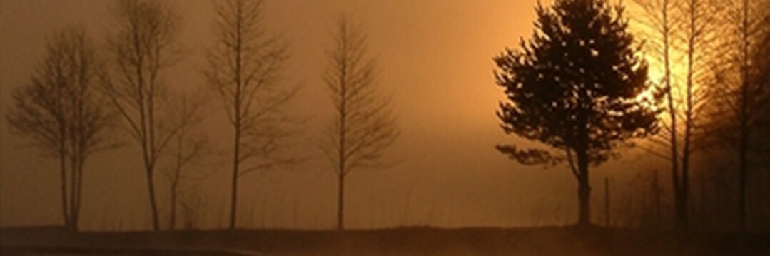 225Sko0on's profile banner image