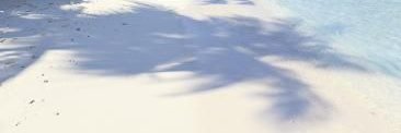 AdrienAlphin's profile banner image