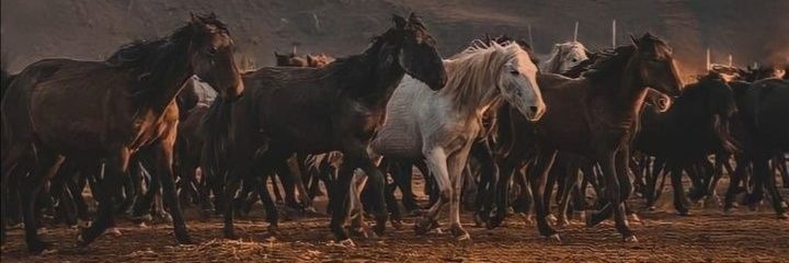 lg_att's profile banner image
