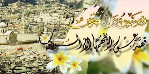alsham_fadi's profile banner image