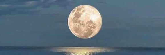 Blue28158072's profile banner image