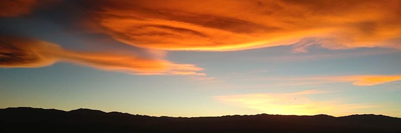 c daniel #15N banner