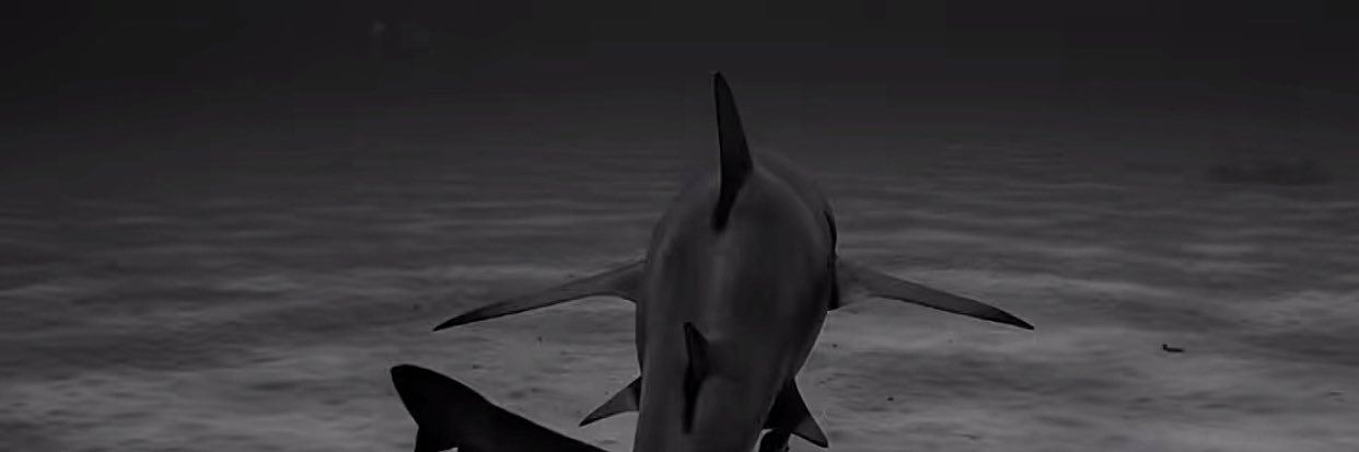 Qaraxyy's profile banner image
