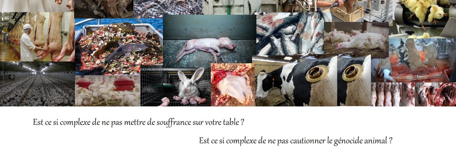 ⏚ 𝔐𝔞𝔫𝔲 Ⓥ banner