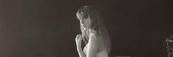 anysswft Profile Banner