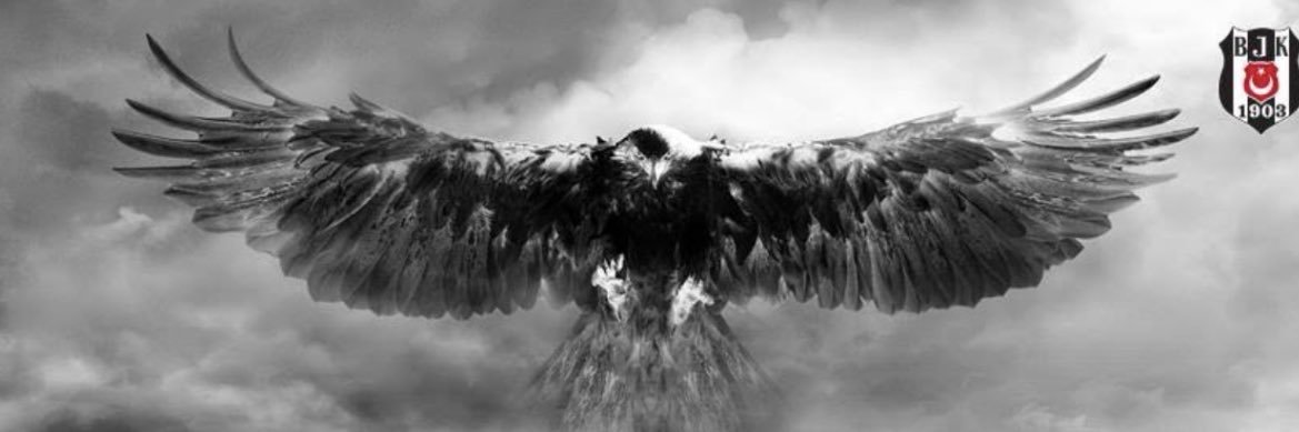 CCK0766's profile banner image