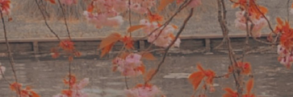 feckingturg's profile banner image