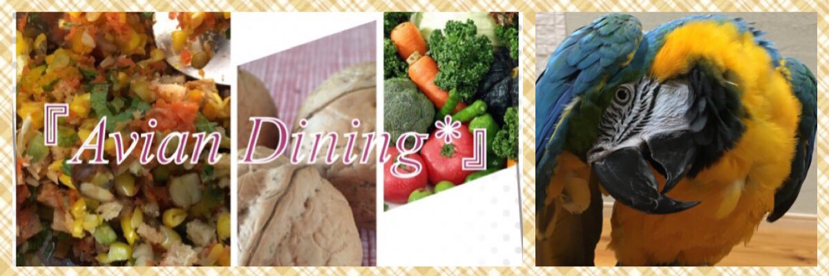 wkbbird's profile banner image