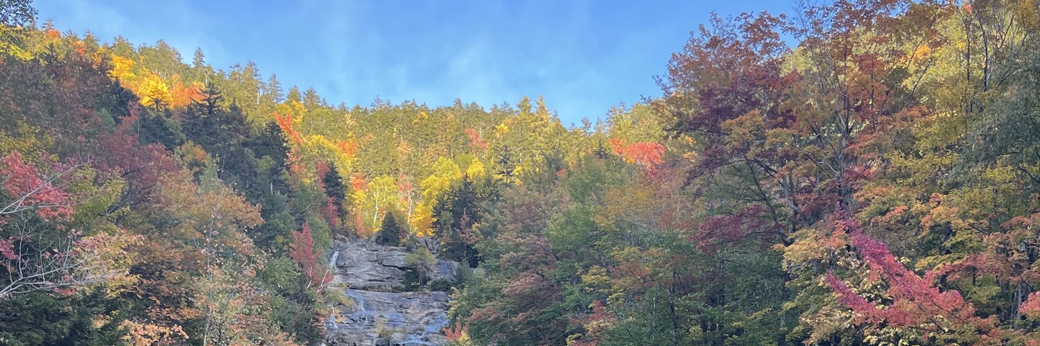 Baskotacytopath's profile banner image