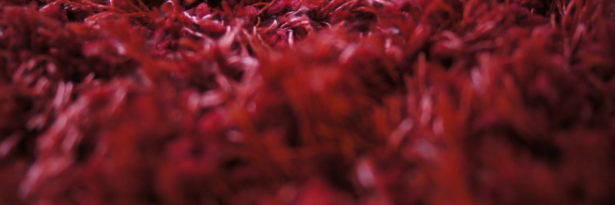 ╰⇢ Matthew 🝓 Petty ⇠╯ banner