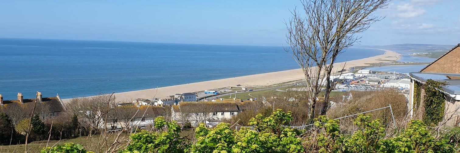 Mikey banner