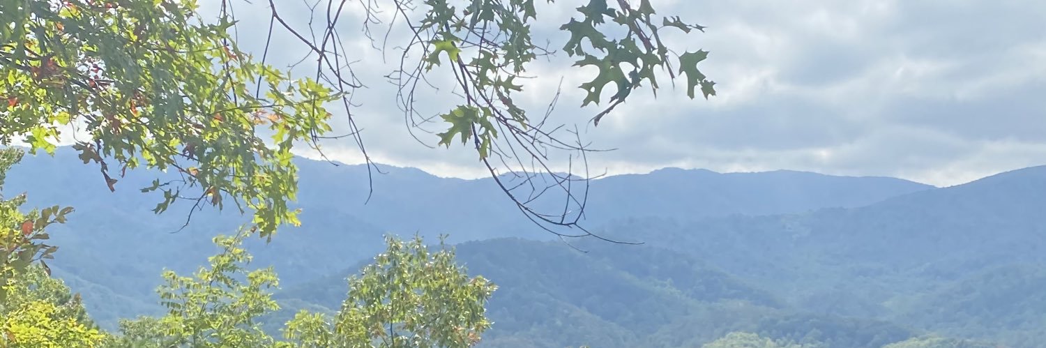 Salma AshShareef banner