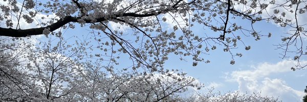 npkp_s Profile Banner