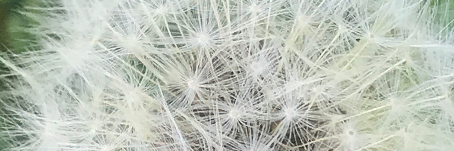 STEMCatalyst's profile banner image