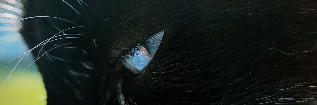 azupumar's profile banner image
