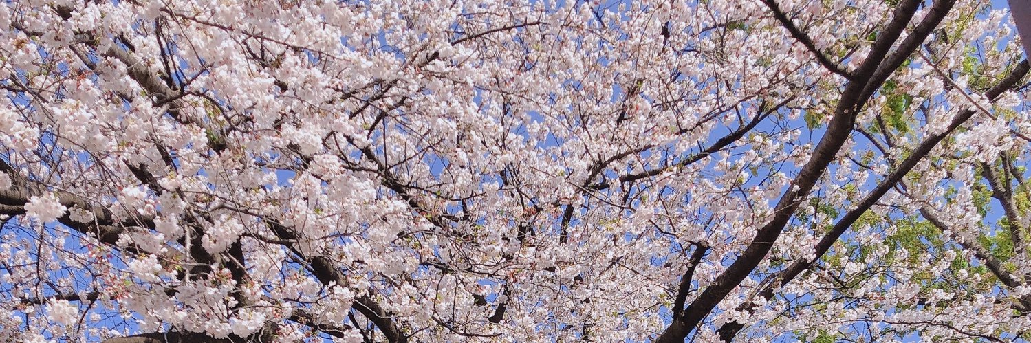 温室育ちの社会人🍎 banner