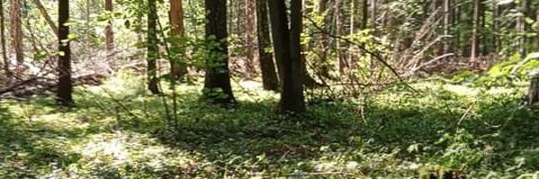 mateusz_rybak1 Profile Banner