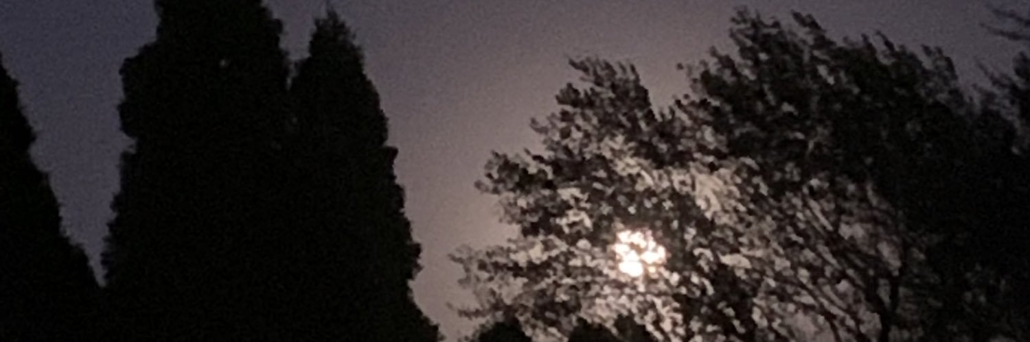 RawgabbitRabbit banner