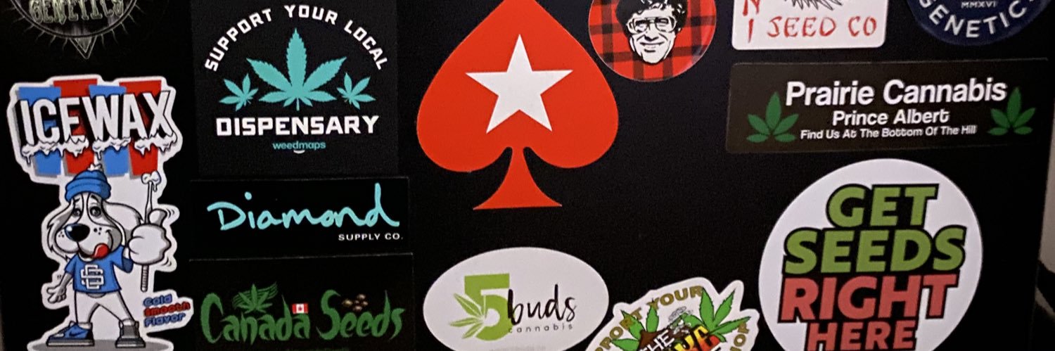 pokershark306's profile banner image