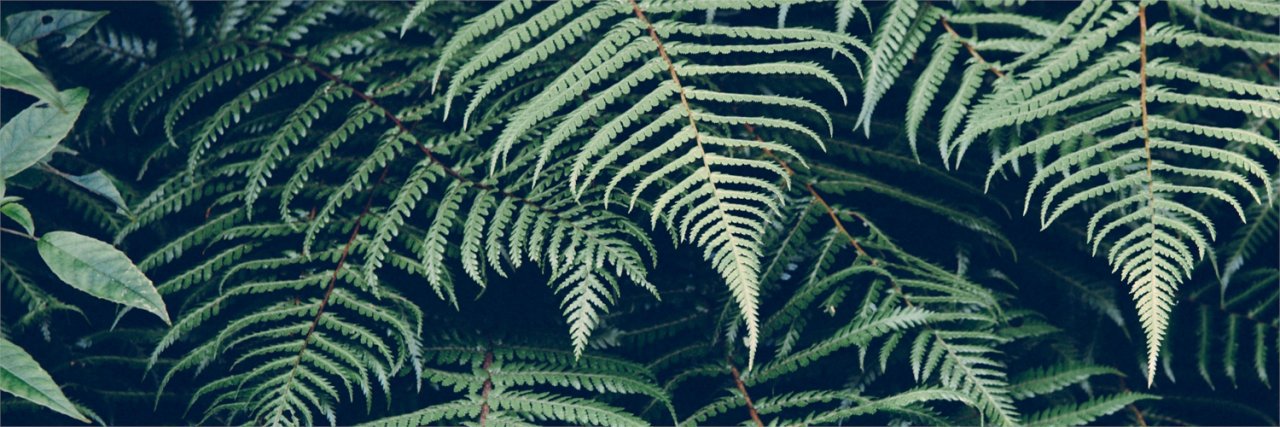 Erkarym's profile banner image