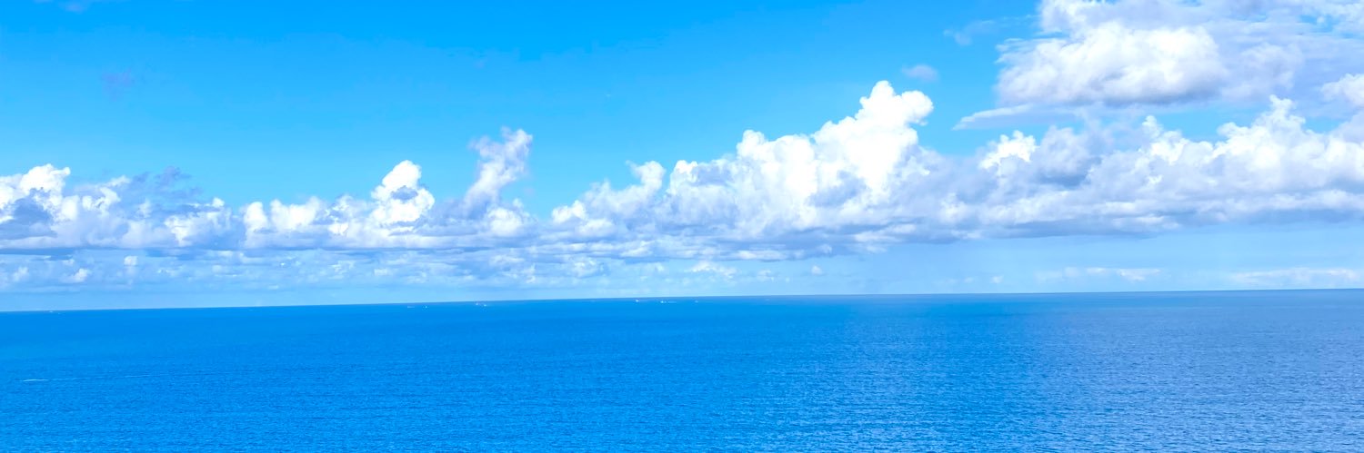 adinhakv's profile banner image