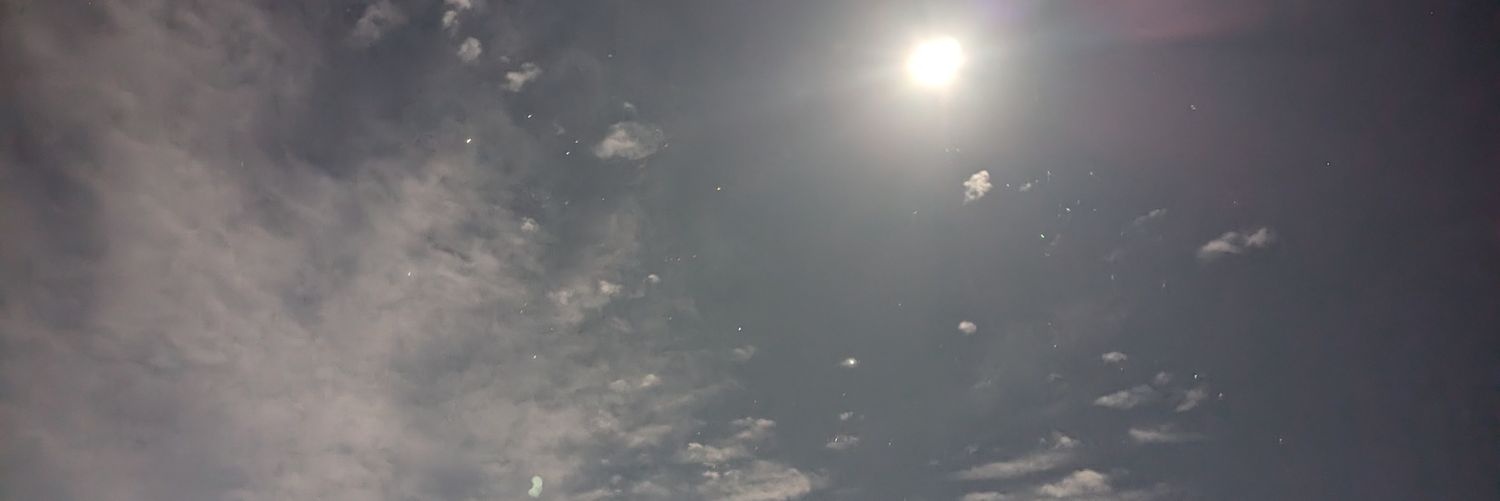 Reinhold Star Seeker™ banner