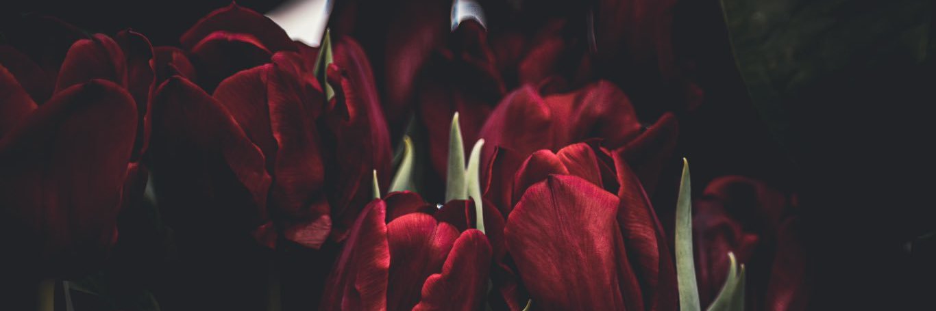 TheDude1764's banner