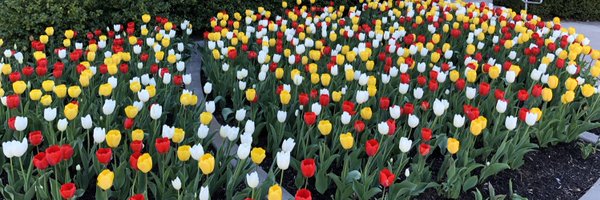 doriepaine Profile Banner