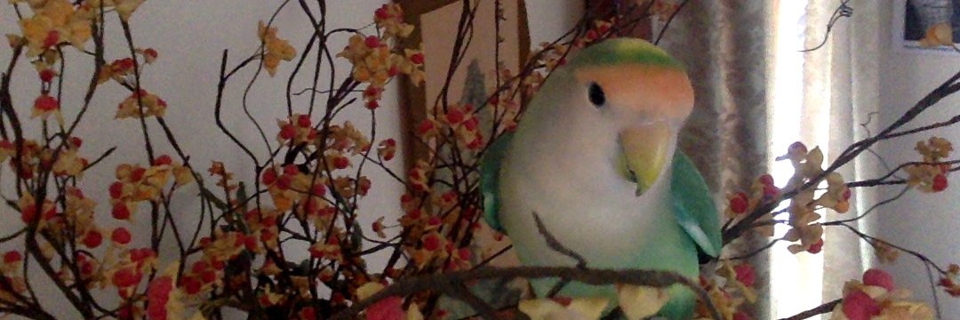 Mito's banner