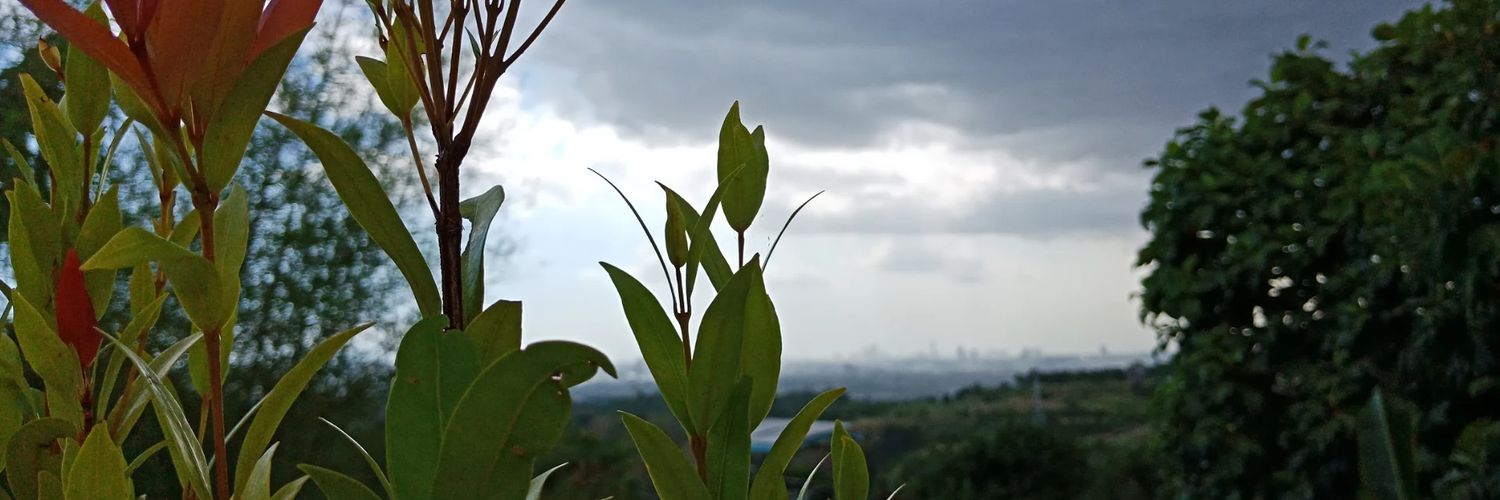 tSeksi_Ja's profile banner image