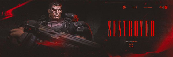 Sestroyed Profile Banner